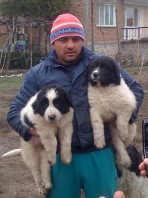 Прикачена снимка
