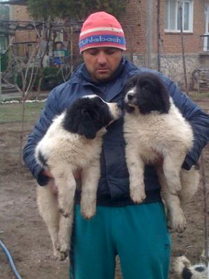 Прикачена снимка