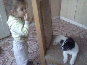 Прикачена снимка
