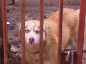 Прикачена снимка