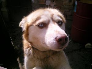 Прикачена снимка