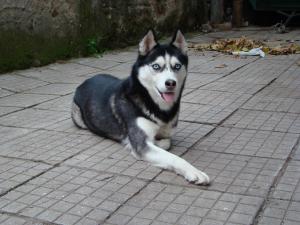 Прикачена снимка