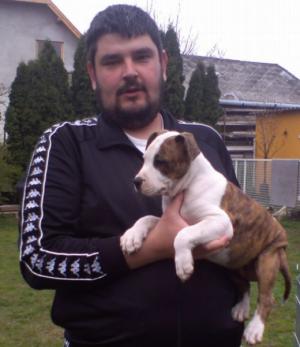 Прикачена снимка