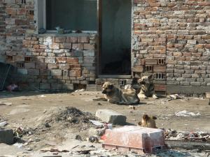 Прикачена снимка