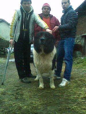 Прикачена снимка
