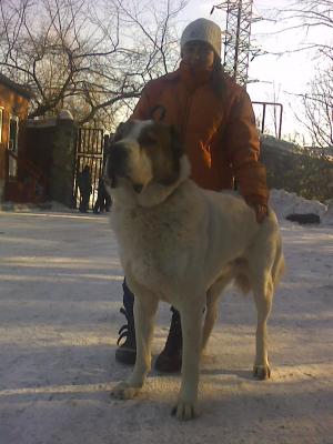 Прикачена снимка