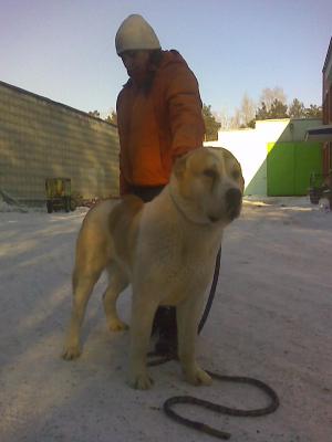 Прикачена снимка