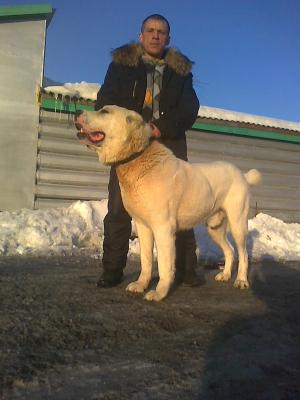 Прикачена снимка