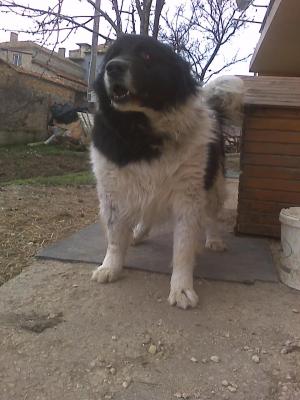 Прикачена снимка