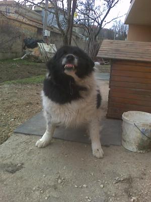 Прикачена снимка