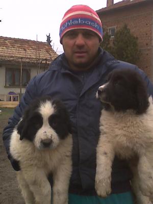 Прикачена снимка