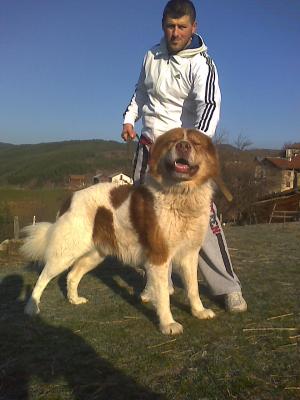 Прикачена снимка