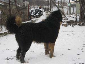 Прикачена снимка