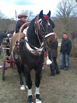 Прикачена снимка
