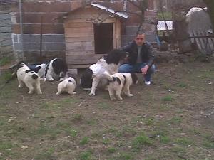 Прикачена снимка