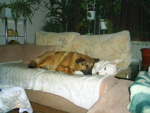 Прикачена снимка