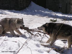 Прикачена снимка