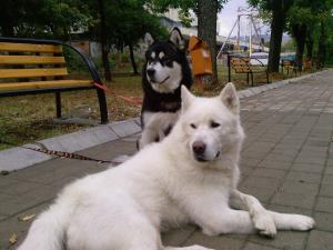 Прикачена снимка