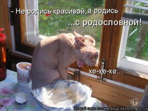 Прикачена снимка
