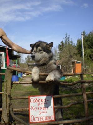 Прикачена снимка