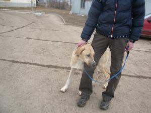 Прикачена снимка