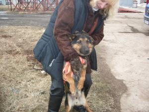 Прикачена снимка