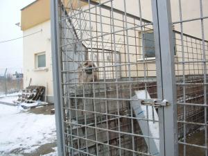 Прикачена снимка