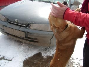 Прикачена снимка