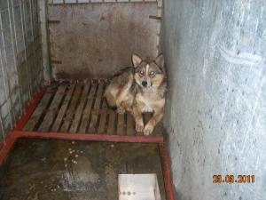 Прикачена снимка