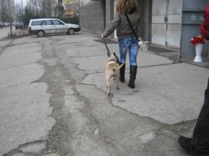 Прикачена снимка