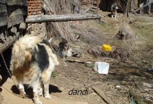 Прикачена снимка