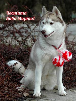 Прикачена снимка