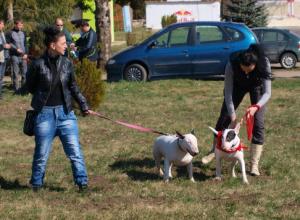 Прикачена снимка