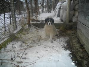 Прикачена снимка