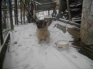 Прикачена снимка