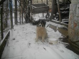 Прикачена снимка