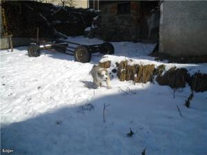 Прикачена снимка