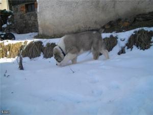 Прикачена снимка