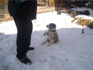 Прикачена снимка
