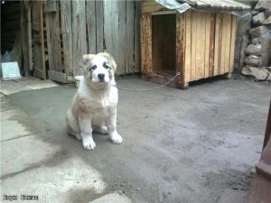 Прикачена снимка