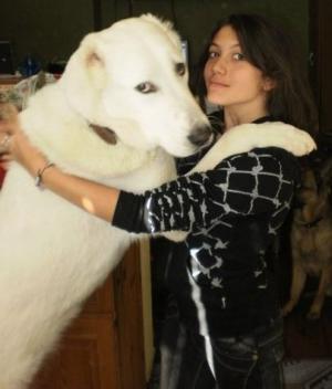 Прикачена снимка