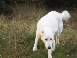 Прикачена снимка