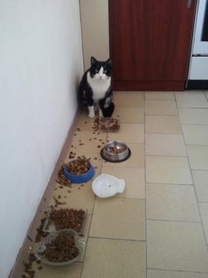 Прикачена снимка