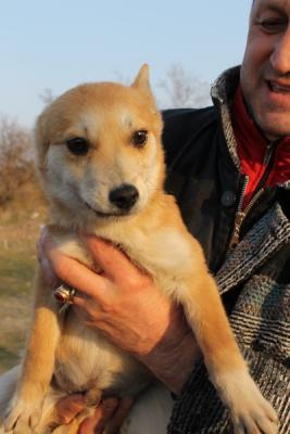 Прикачена снимка