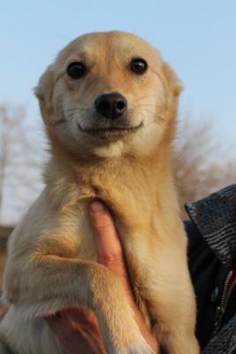 Прикачена снимка