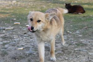 Прикачена снимка