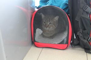 Прикачена снимка