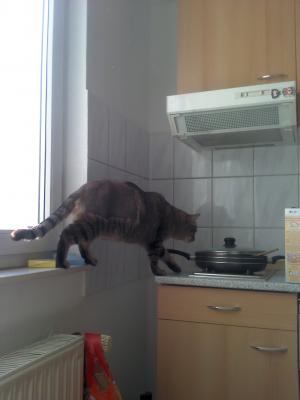 Прикачена снимка