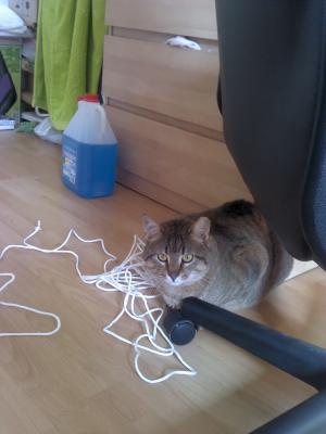 Прикачена снимка