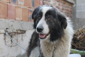 Прикачена снимка
